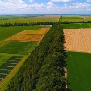 Photo of SOLD!!  44.11 Acres of Hunting Recreational and Timber Land in Beaufort County NC!