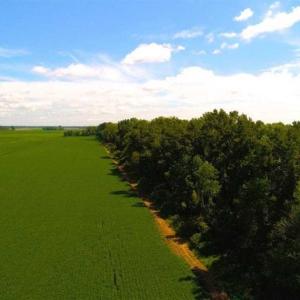 Photo of SOLD!!  44.11 Acres of Hunting Recreational and Timber Land in Beaufort County NC!