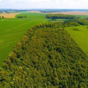 Photo of SOLD!!  44.11 Acres of Hunting Recreational and Timber Land in Beaufort County NC!