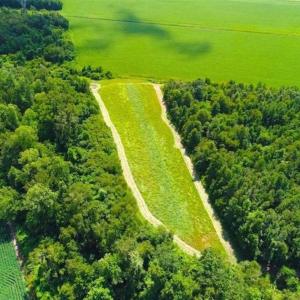 Photo of SOLD!!  44.11 Acres of Hunting Recreational and Timber Land in Beaufort County NC!