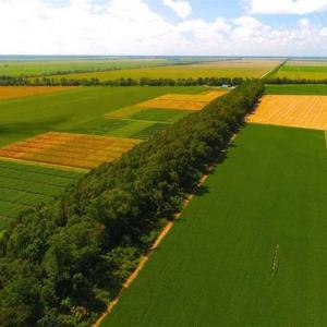 Photo of SOLD!!  44.11 Acres of Hunting Recreational and Timber Land in Beaufort County NC!