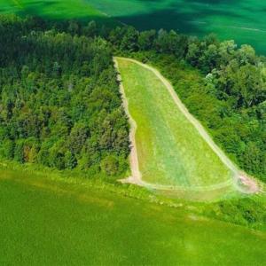 Photo of SOLD!!  44.11 Acres of Hunting Recreational and Timber Land in Beaufort County NC!