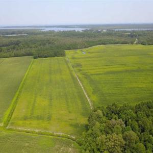 Photo of REDUCED!  97 Acres of Farm and Timber Land For sale in Tyrrell County NC!