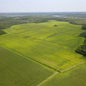 Photo of REDUCED!  97 Acres of Farm and Timber Land For sale in Tyrrell County NC!
