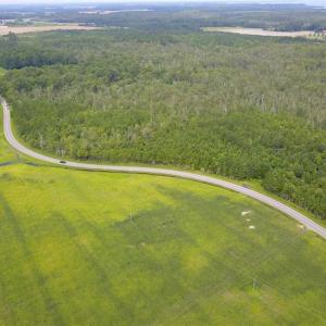 Photo of REDUCED!  97 Acres of Farm and Timber Land For sale in Tyrrell County NC!