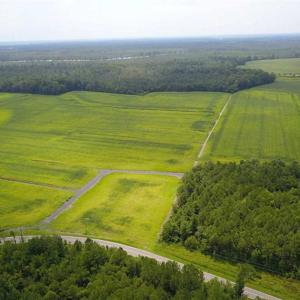 Photo of REDUCED!  97 Acres of Farm and Timber Land For sale in Tyrrell County NC!