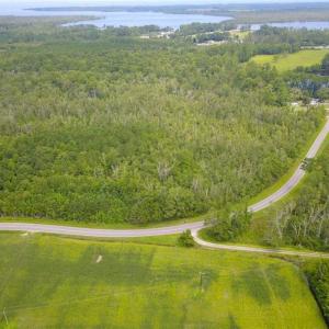 Photo of REDUCED!  97 Acres of Farm and Timber Land For sale in Tyrrell County NC!