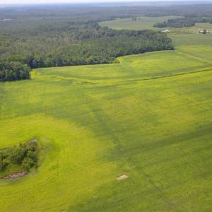 Photo of REDUCED!  97 Acres of Farm and Timber Land For sale in Tyrrell County NC!