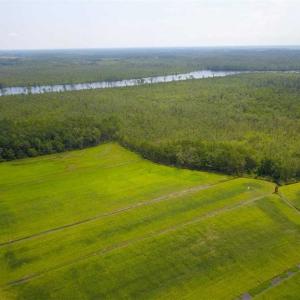 Photo of REDUCED!  97 Acres of Farm and Timber Land For sale in Tyrrell County NC!