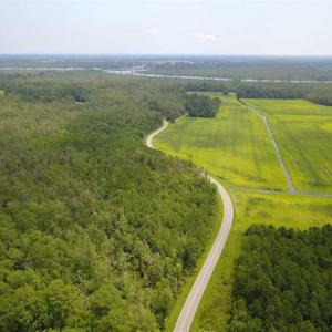 Photo of REDUCED!  97 Acres of Farm and Timber Land For sale in Tyrrell County NC!