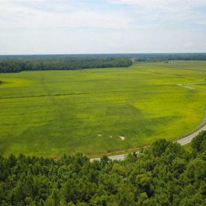 Photo of REDUCED!  97 Acres of Farm and Timber Land For sale in Tyrrell County NC!