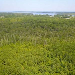 Photo of REDUCED!  97 Acres of Farm and Timber Land For sale in Tyrrell County NC!