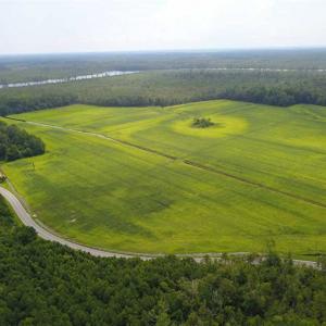 Photo of REDUCED!  97 Acres of Farm and Timber Land For sale in Tyrrell County NC!