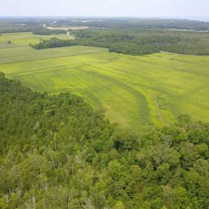 Photo of REDUCED!  97 Acres of Farm and Timber Land For sale in Tyrrell County NC!