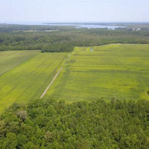 Photo of REDUCED!  97 Acres of Farm and Timber Land For sale in Tyrrell County NC!