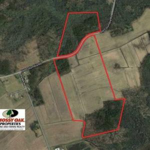 Photo of REDUCED!  97 Acres of Farm and Timber Land For sale in Tyrrell County NC!
