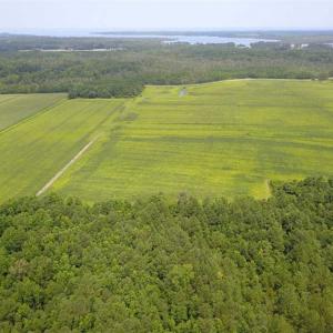 Photo of REDUCED!  97 Acres of Farm and Timber Land For sale in Tyrrell County NC!