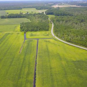 Photo of REDUCED!  97 Acres of Farm and Timber Land For sale in Tyrrell County NC!