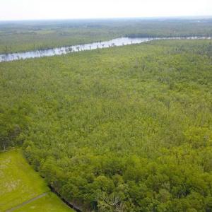 Photo of REDUCED!  97 Acres of Farm and Timber Land For sale in Tyrrell County NC!