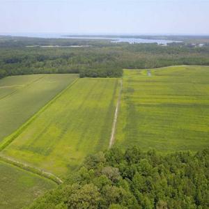 Photo of REDUCED!  97 Acres of Farm and Timber Land For sale in Tyrrell County NC!