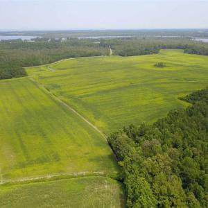 Photo of REDUCED!  97 Acres of Farm and Timber Land For sale in Tyrrell County NC!