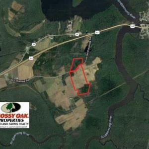 Photo of REDUCED!  97 Acres of Farm and Timber Land For sale in Tyrrell County NC!