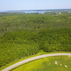 Photo of REDUCED!  97 Acres of Farm and Timber Land For sale in Tyrrell County NC!