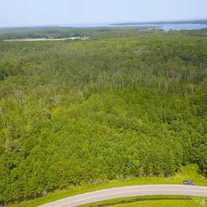 Photo of REDUCED!  97 Acres of Farm and Timber Land For sale in Tyrrell County NC!