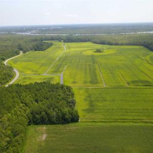 Photo of REDUCED!  97 Acres of Farm and Timber Land For sale in Tyrrell County NC!