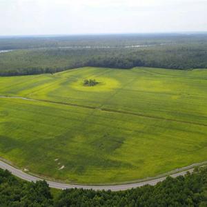 Photo of REDUCED!  97 Acres of Farm and Timber Land For sale in Tyrrell County NC!