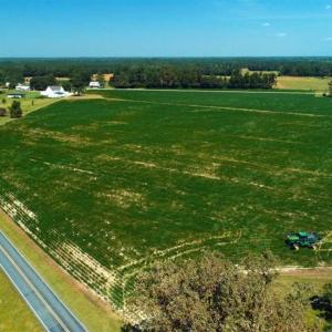 Photo of UNDER CONTRACT!!  15 Acres of Farm Land For Sale in Robeson County NC!