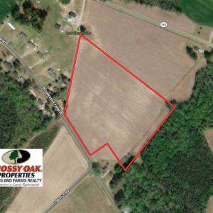 Photo of UNDER CONTRACT!!  15 Acres of Farm Land For Sale in Robeson County NC!
