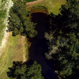 Photo of UNDER CONTRACT!!  15 Acres of Farm Land For Sale in Robeson County NC!