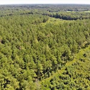 Photo of SOLD!!  9.09 Acres of Residential Farm Land For Sale in Halifax County NC!