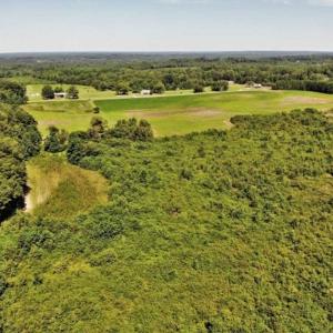 Photo of SOLD!!  9.09 Acres of Residential Farm Land For Sale in Halifax County NC!