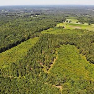 Photo of SOLD!!  9.09 Acres of Residential Farm Land For Sale in Halifax County NC!