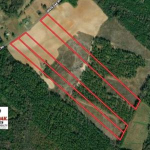 Photo of SOLD!!  9.09 Acres of Residential Farm Land For Sale in Halifax County NC!