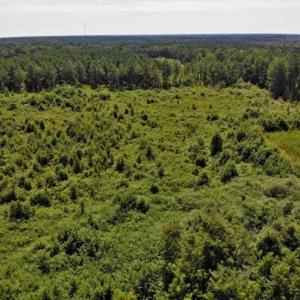 Photo of SOLD!!  9.09 Acres of Residential Farm Land For Sale in Halifax County NC!