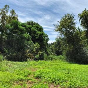 Photo of SOLD!!  9.09 Acres of Residential Farm Land For Sale in Halifax County NC!