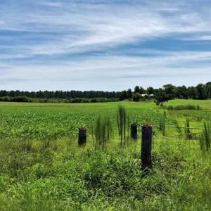 Photo of SOLD!!  9.09 Acres of Residential Farm Land For Sale in Halifax County NC!