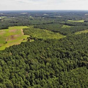 Photo of SOLD!!  9.09 Acres of Residential Farm Land For Sale in Halifax County NC!