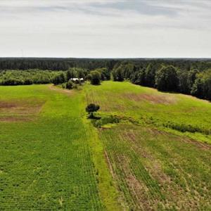 Photo of SOLD!!  9.09 Acres of Residential Farm Land For Sale in Halifax County NC!