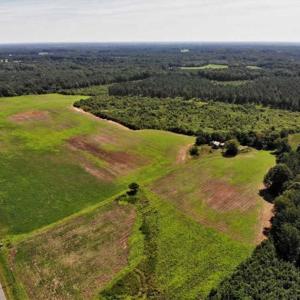 Photo of SOLD!!  9.09 Acres of Residential Farm Land For Sale in Halifax County NC!