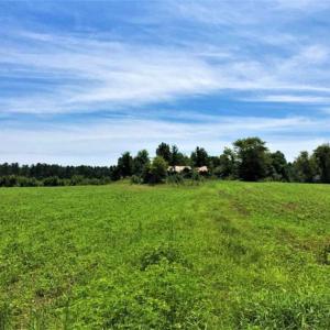 Photo of SOLD!!  9.09 Acres of Residential Farm Land For Sale in Halifax County NC!