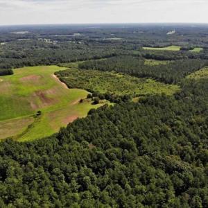Photo of SOLD!!  9.09 Acres of Residential Farm Land For Sale in Halifax County NC!