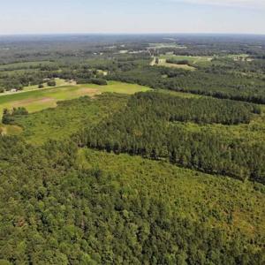 Photo of SOLD!!  9.09 Acres of Residential Farm Land For Sale in Halifax County NC!