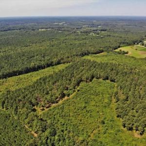 Photo of SOLD!!  9.09 Acres of Residential Farm Land For Sale in Halifax County NC!