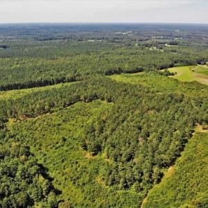 Photo of SOLD!!  9.09 Acres of Residential Farm Land For Sale in Halifax County NC!