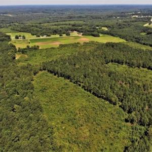 Photo of SOLD!!  9.09 Acres of Residential Farm Land For Sale in Halifax County NC!