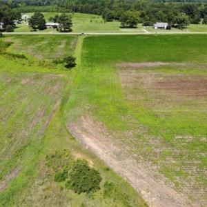 Photo of SOLD!!  9.09 Acres of Residential Farm Land For Sale in Halifax County NC!